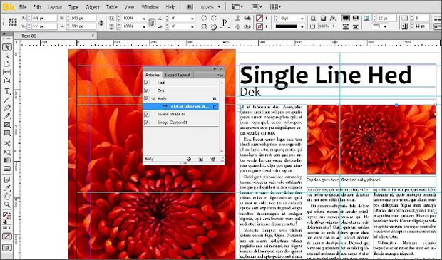 289054-adobe-creative-books