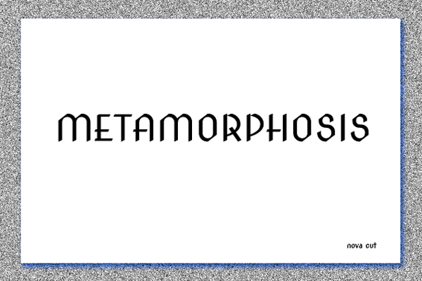 Diseño de identidad visual para Metamorphosis