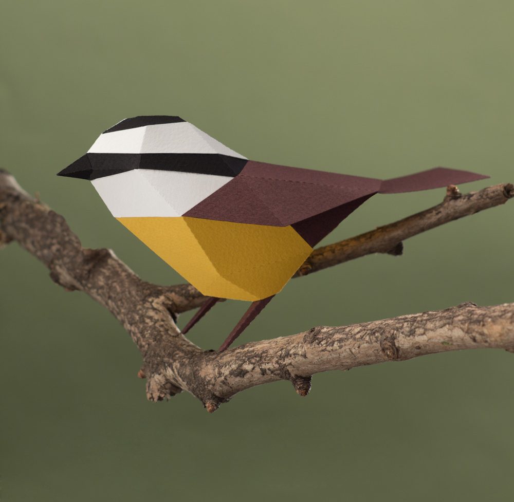 Lecciones de ornitología ilustrada en papercut por Guardabosques