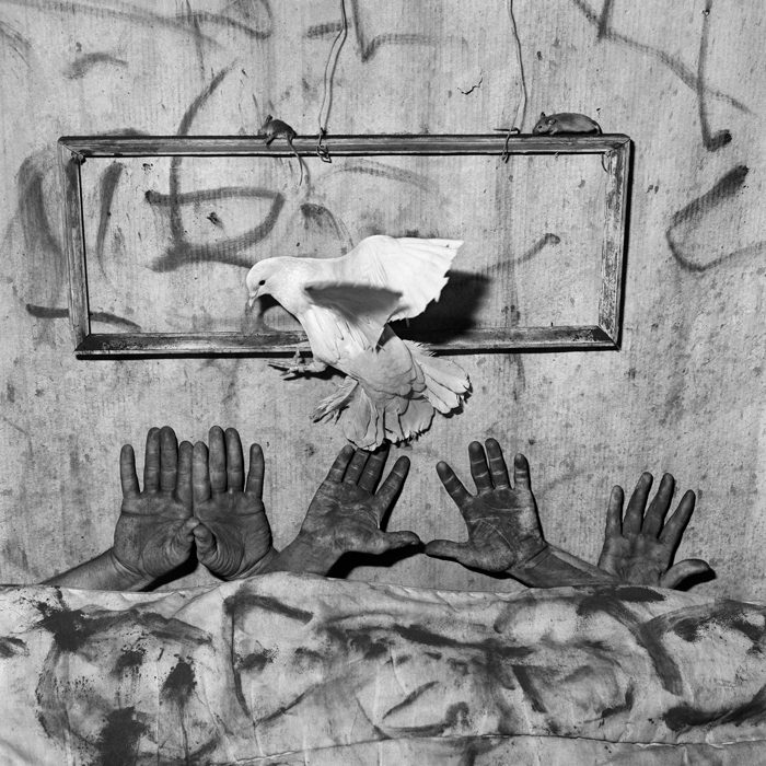 Roger Ballen, Asylum of the Birds. Fotografías entre lo real y lo imaginario