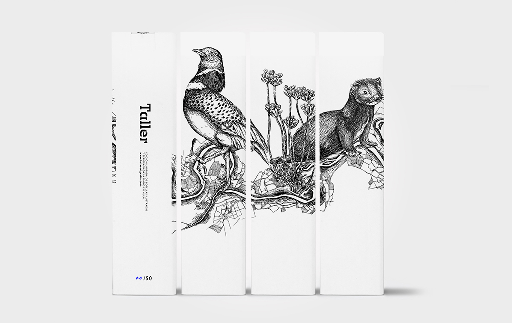 Taller by Hula, packaging, ilustración y serigrafía en edición limitada