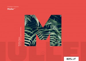 Muller Sans, tipografía