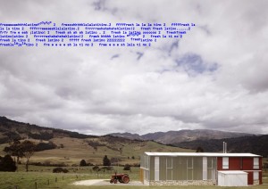 Freshlatino, un proyecto de marca dinámica de El vivero