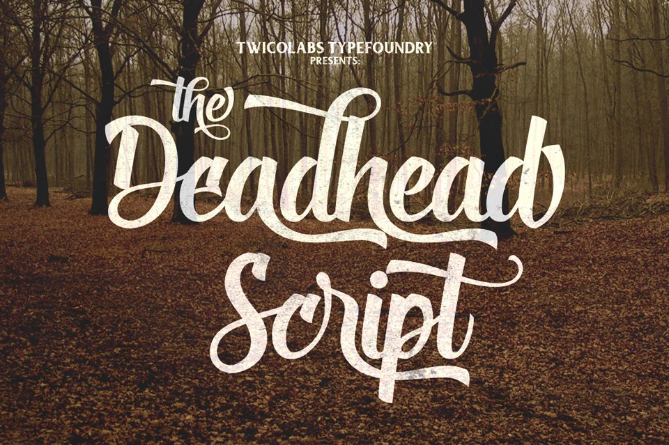 Deadhead Script, una tipo a pincel muy trendy