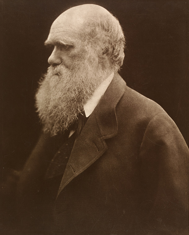 Charles Darwin, Julia Margaret Cameron, 1868. © Victoria and Albert Museum, London