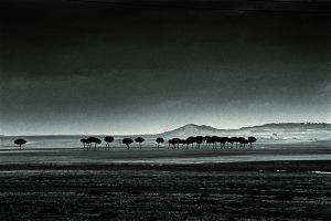 Paisajes negros, de Alberto Schommer, padre de la fotografía moderna