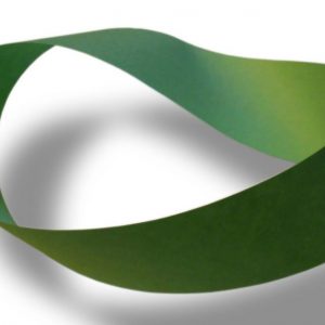 bandamoebius