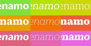 Duplicate Ionic Dan 05