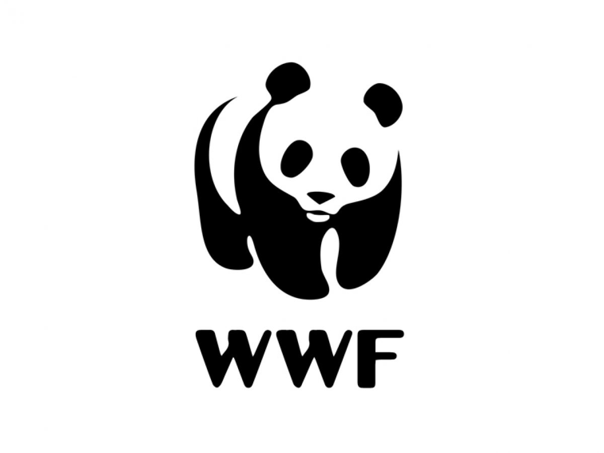 El top 47 imagen porque el logo de wwf es un panda