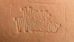 Parte de la animacion en stop motion 'Hey Pressto'