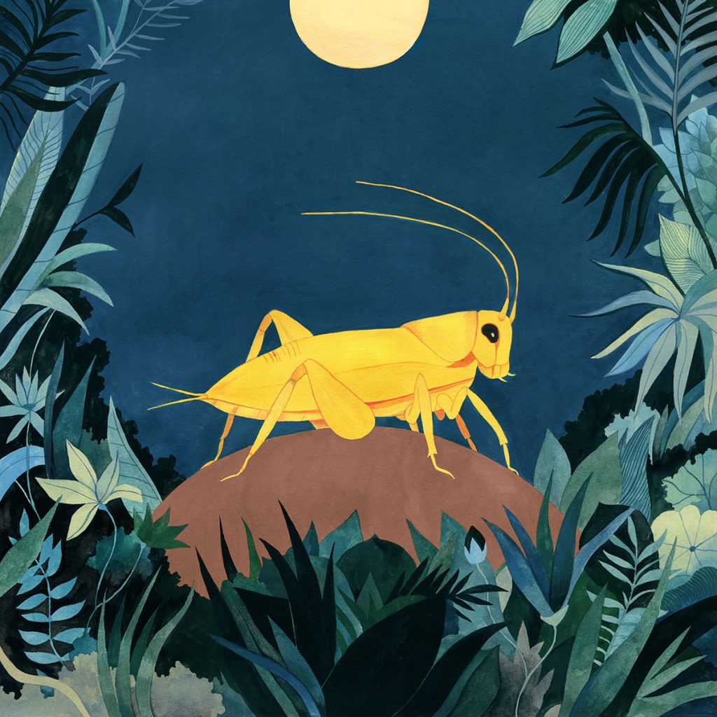 'Yellow Cricket', de Luisa Rivera