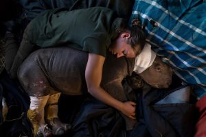 Photographers Against Wildlife Crime
