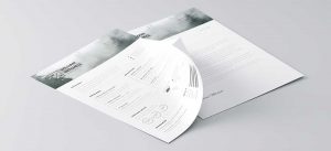 curriculum vitae