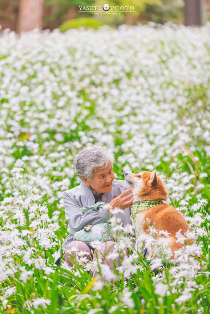 Las entrañables y bonitas instantáneas del fotógrafo Yasuto sobre su abuela y su perro