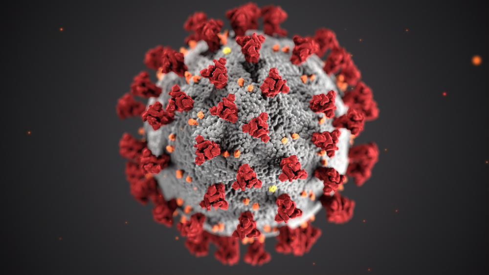 ¿Cómo está afectando el coronavirus a la actividad creativa? Gràffica lanza una encuesta sobre ello