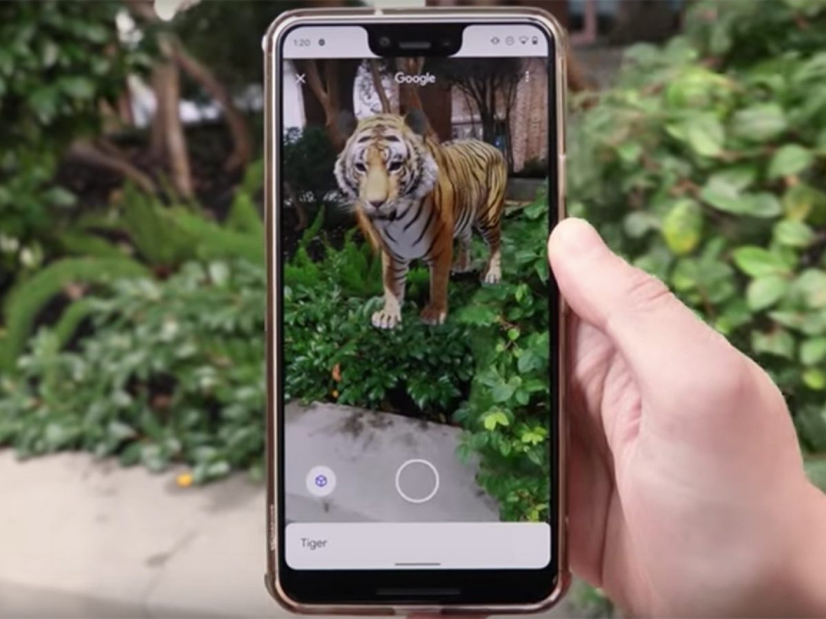 Cómo ver los animales 3D de Google en iPhone y Android: leones, tiburones y  tigres a