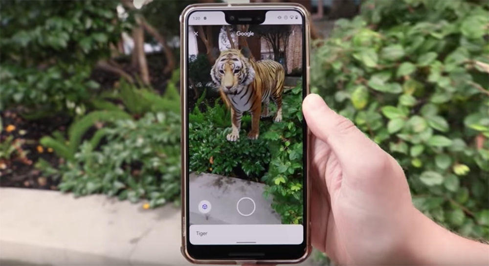 Un lobo en el salón de casa: así sorprende esta divertida funcionalidad de Google AR. Animales 3D Google.