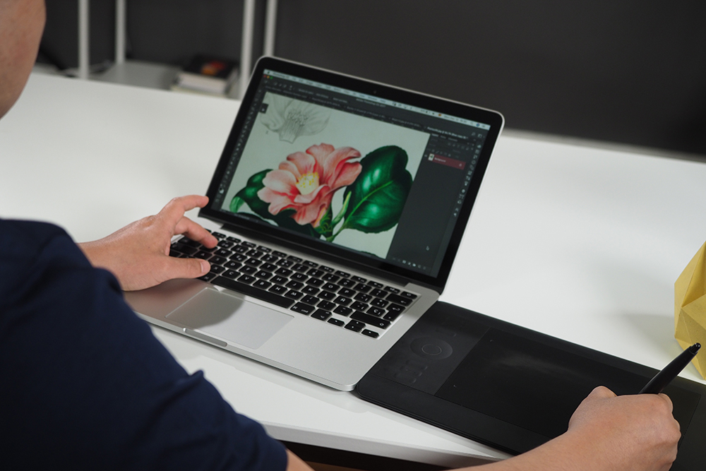 5 cursos de diseño gráfico para perfeccionar tus habilidades