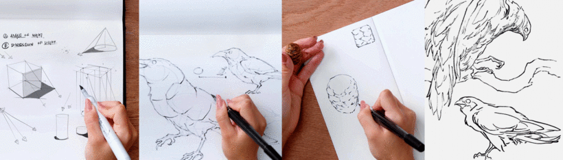 Sketching