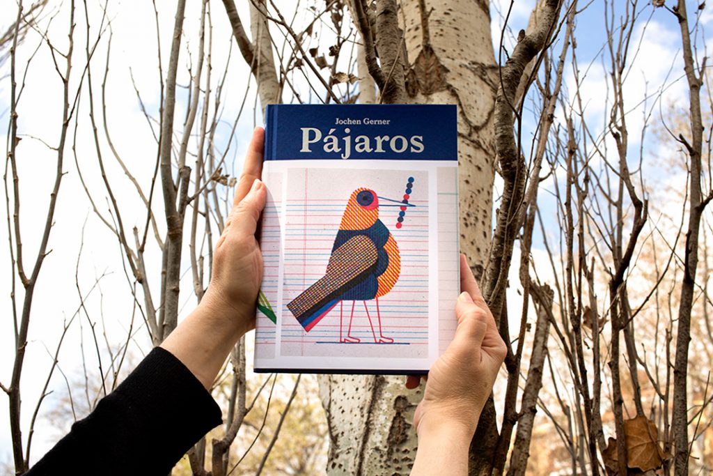pájaros