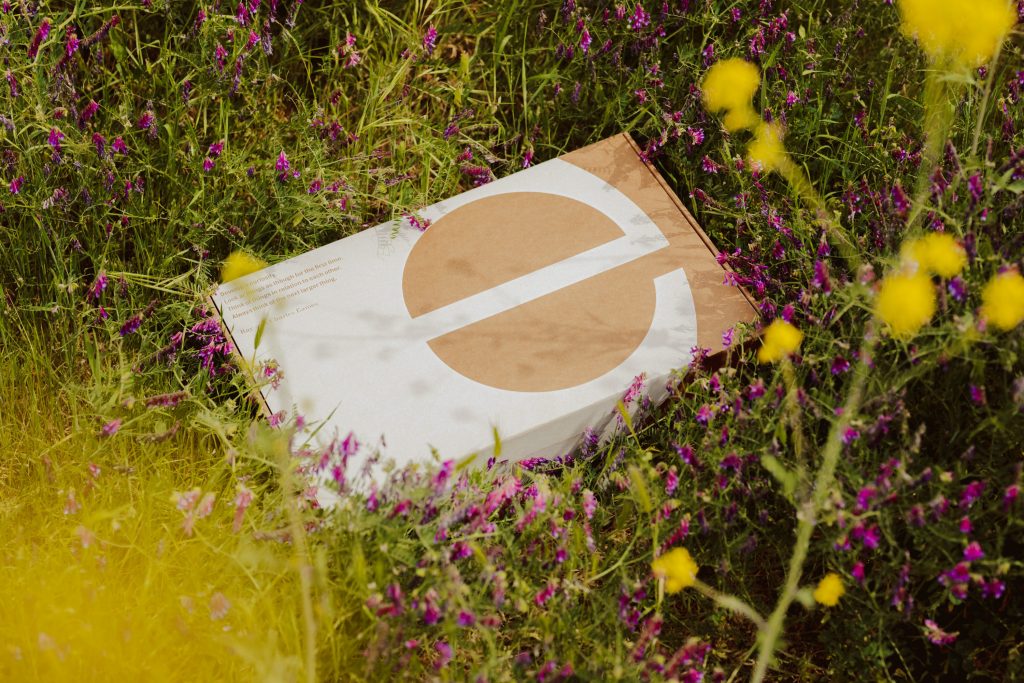 La imagen tiene un atributo ALT vacío; su nombre de archivo es EI_Box_Grass_01_Warm-1024x683.jpeg
